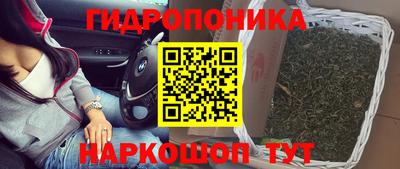 альфа пвп Славгород