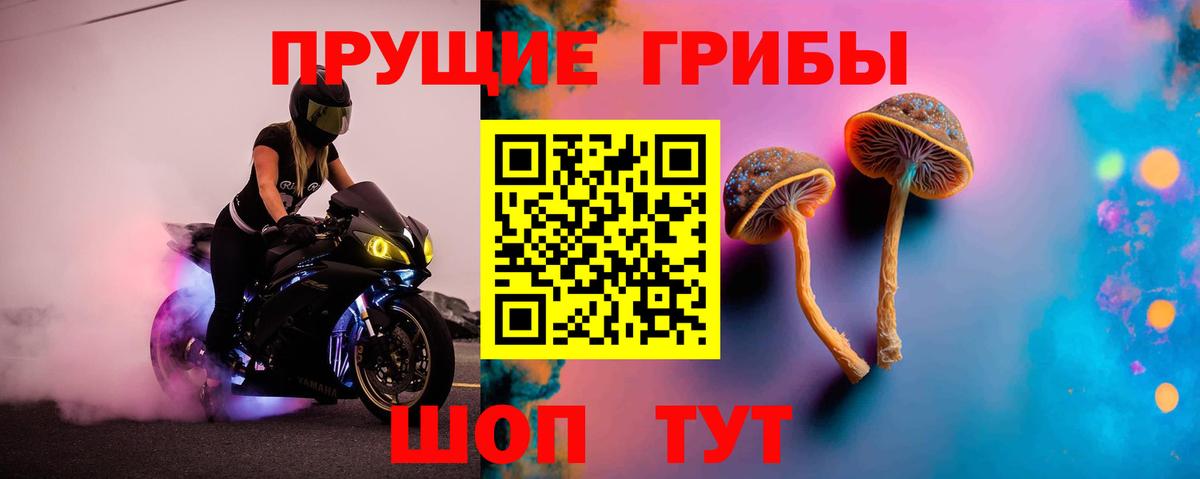 Галлюциногенные грибы мицелий Норильск